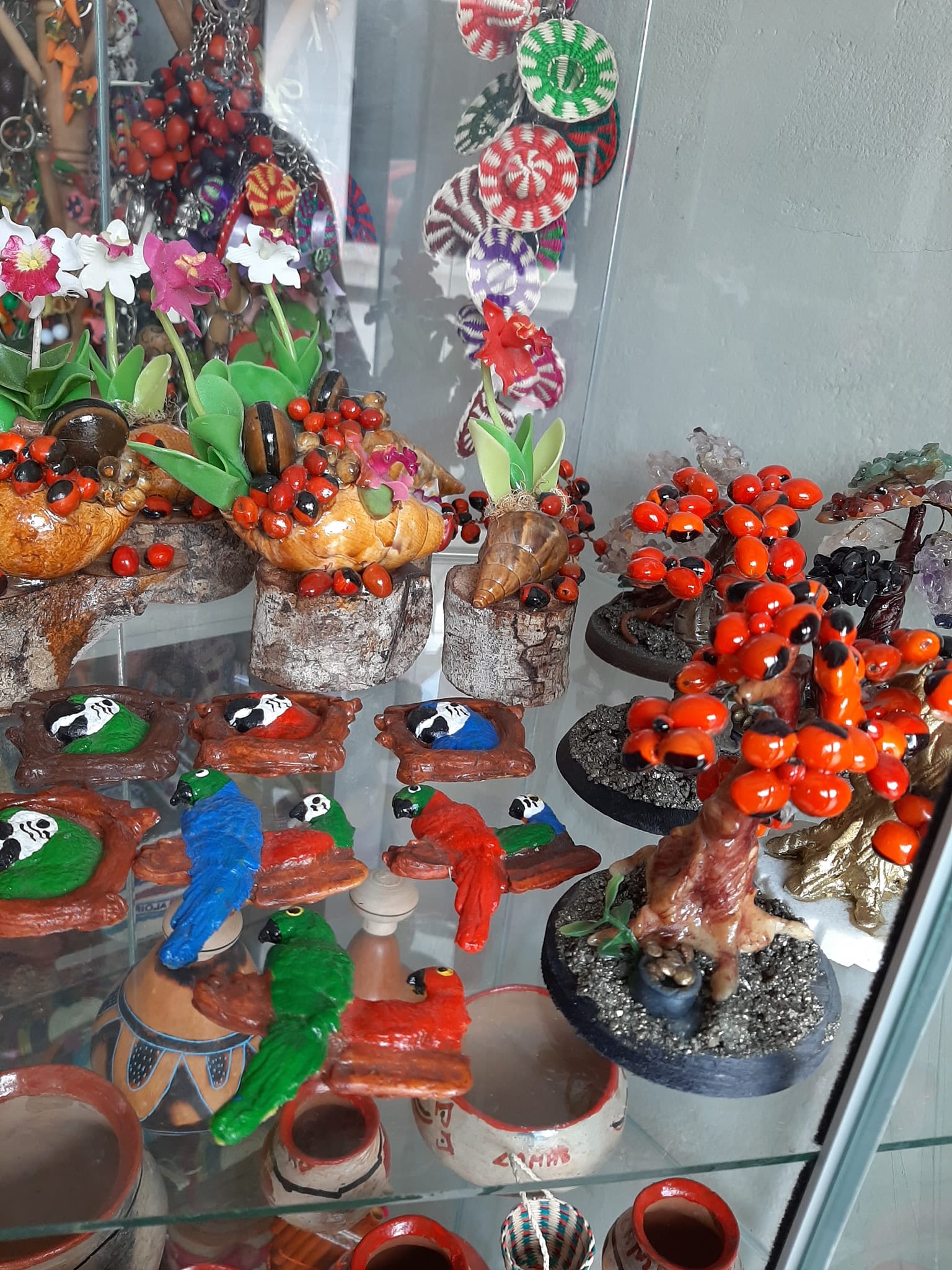 Galería foto 2